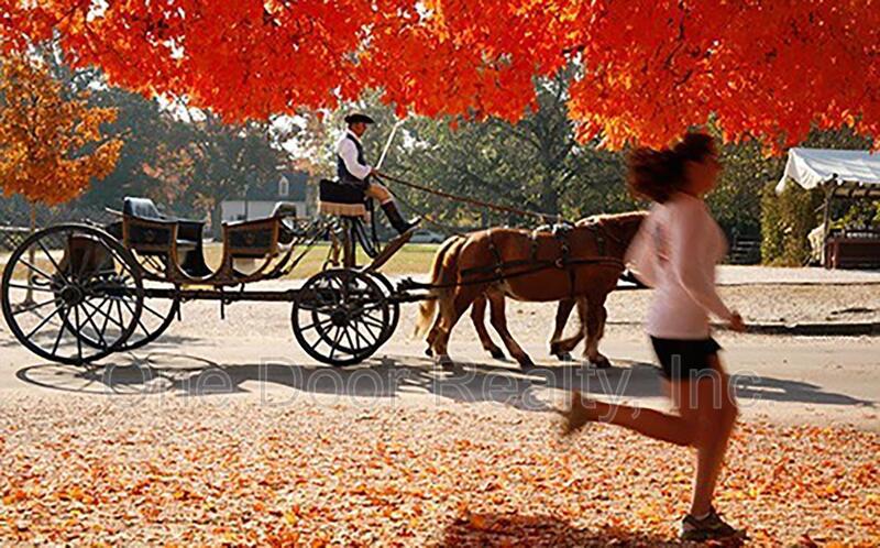 $1595 / 1 br / 1 ba / 465 sqft property image