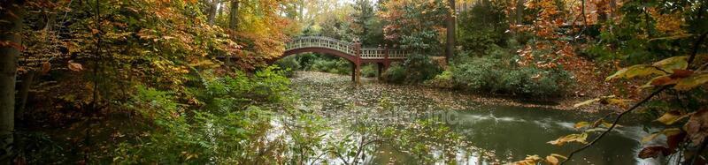 $1745 / 1 br / 1 ba / 585 sqft property image